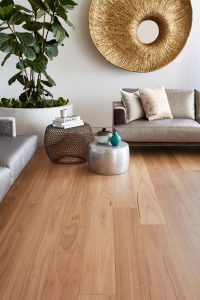 Blackbutt-Oakleaf-HD-PLUS-Laminate